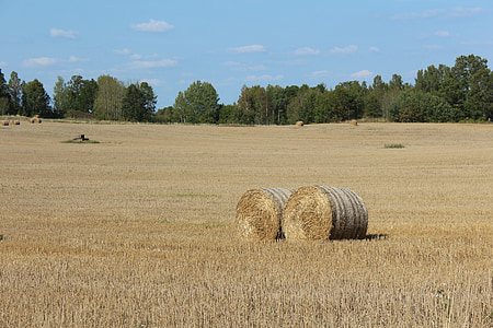 bal, bales, hay, farmer, go, countryside, sweden