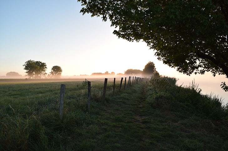 dimma, landskap, floden, tidigt på morgonen, fältet, utgående