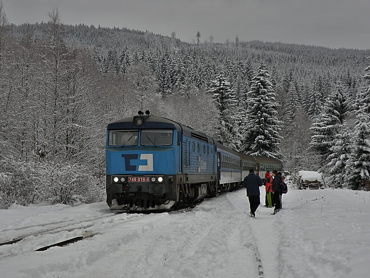 traukinys, lokomotyvas, žiemą, Pietų, Pietų Bohemijos, Šumava, kraštovaizdžio