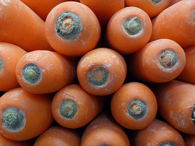 carrots, vegetable, fresh, food, garden, healthy, organic