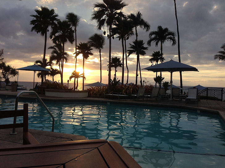 piscina, piscina, férias, palmas das mãos, pôr do sol, estância, Maui