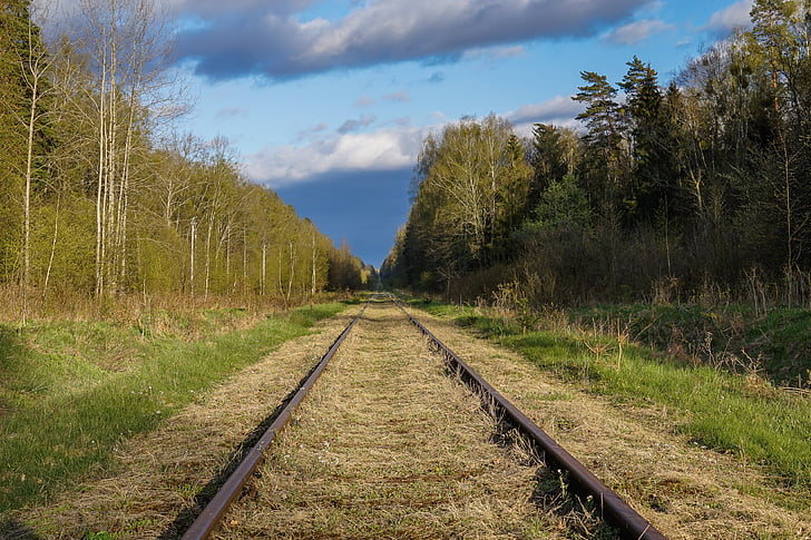 pistas, vías del ferrocarril, carriles de, bosque, árbol, la perspectiva de, viajes