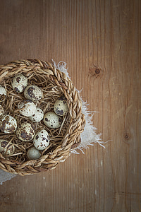 cesta, ovo, ovos de codorna, pequeno, ovos pequenos, produto natural, fechar