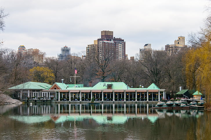 centralpark, Manhattan, NYC, Newyork, upadek, jesień, zimowe