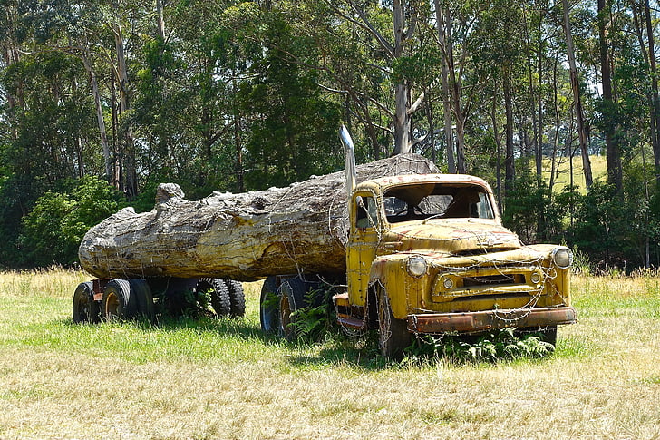 Log vrachtwagen, wrak, logboekregistratie, vrachtwagen, logboek, hout, vervoer