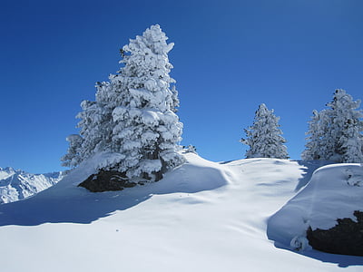 雪, 冬天, 山, 寒冷, 树, 春夏秋冬之梦
