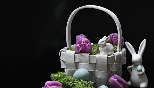 Kelinci, Kelinci Paskah, Paskah, musim semi, gambar, Tulip, ungu