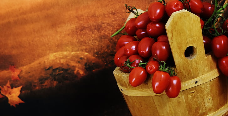 tomaatit, puinen ämpäri, kerätä, vihannekset, terve, Harvest, tomaatti
