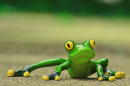 青蛙, 有趣, 图, 可爱, 动物, 乐趣, 绿色