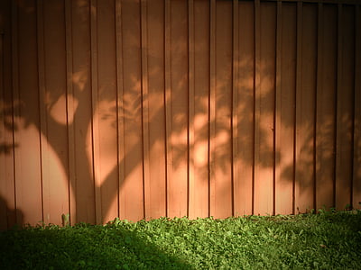sombra, árvore, madeira, grama, sol, manhã, rural