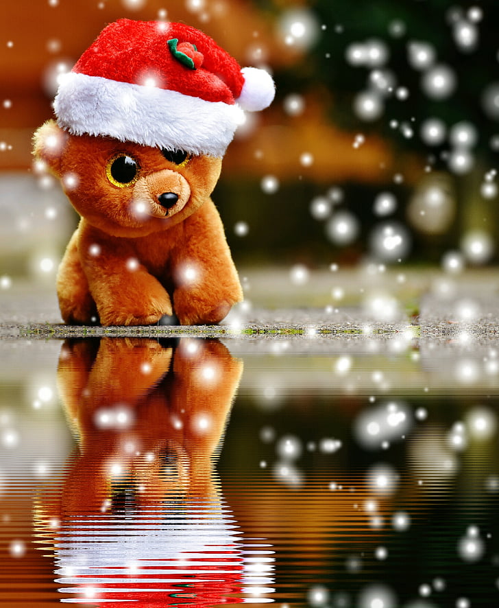 christmas, teddy, snow, water, mirroring, stuffed animal, soft toy