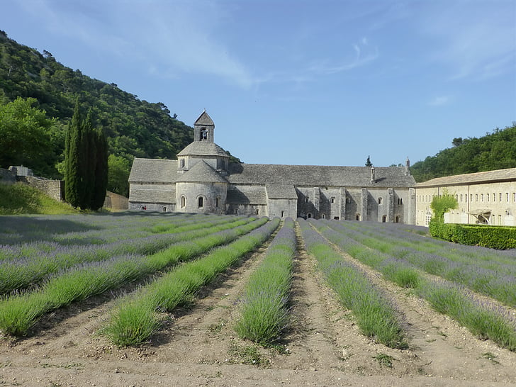 abbey, lavender, south