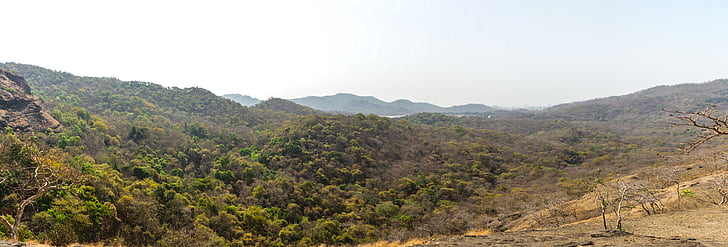 Hill, krajina, Hora, Příroda, venku, malebný, stromy