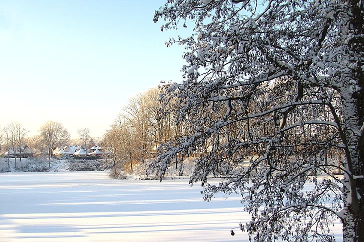 landscape, time of year, winter, snow, lake, sun
