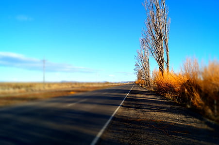 musim gugur, jalan, Argentina
