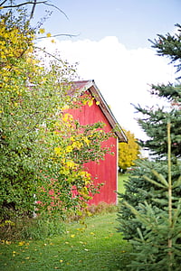 Stodoła, czerwony, drewno, czerwonej stodole, rustykalne