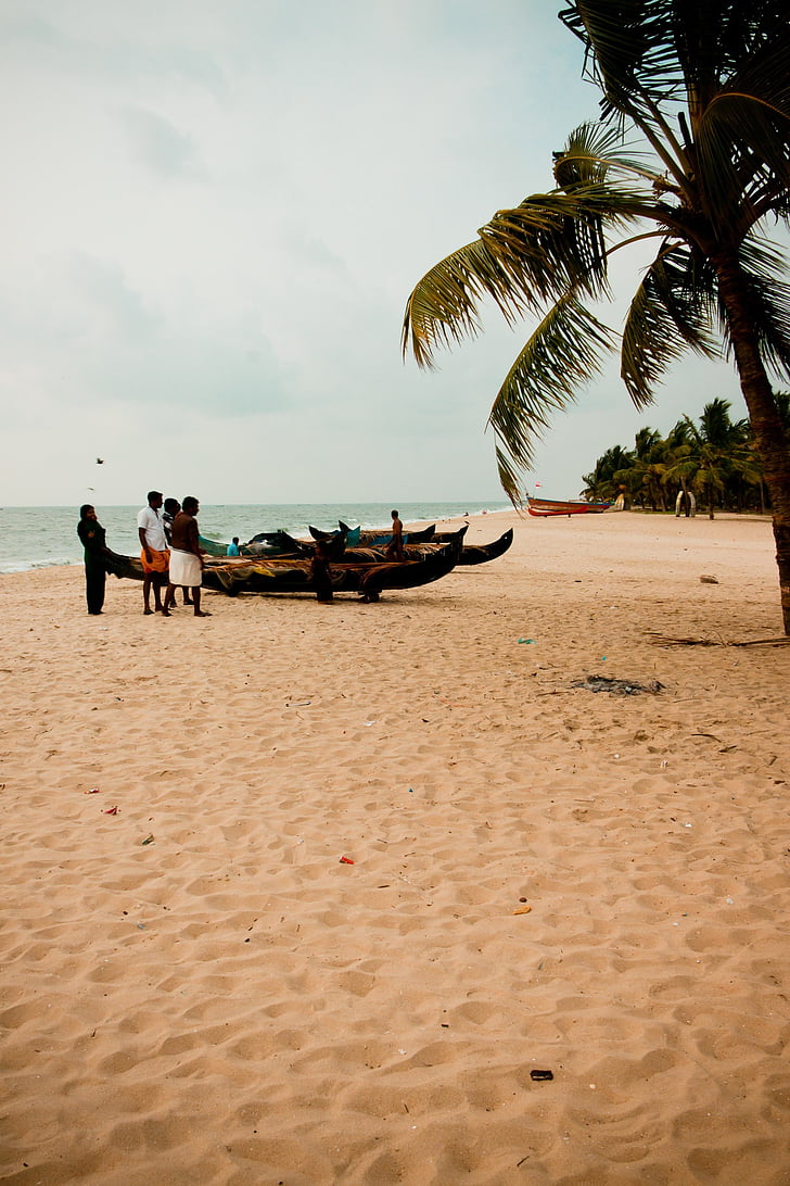 plage, Palm, bateaux, vacances, plage de sable, Inde