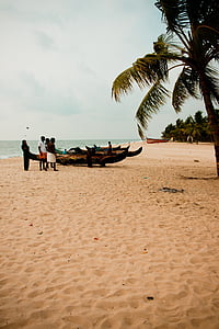 plajă, Palm, barci, vacanta, plaja cu nisip, India