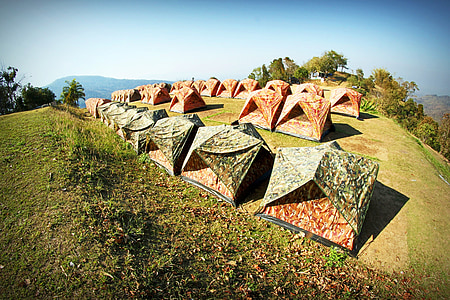 acampamento, tenda, árvore, Forrest, ao ar livre, atividade, férias