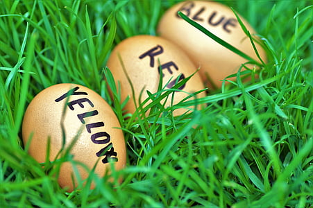 Великдень, яйця, пасхальні яйця, жарт, колір яйця, Великоднє час, Весна