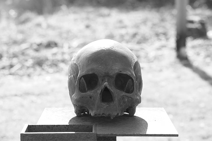 kaukolė, galva, kaukolė ir sukryžiuoti kaulai, kaukolės kaulų, mirties, siaubo, keista