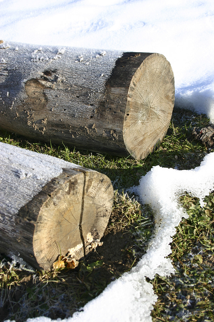 wood, logs, winter, snow, frozen, tree, slovakia