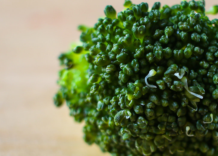 brokoli, sayur, Makanan, Pemuliaan, sehat, lezat, memasak