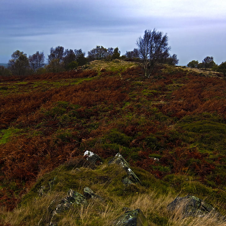 Moor, Reino Unido, Leicestershire, otoño, rocas, tierra, salvaje