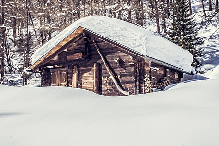 mountain hut, snow, alpine, hut, nature, snowy, mountains