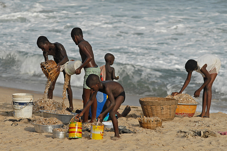 Ghana, nens, navegar per, Mar, l'aigua, Musclos