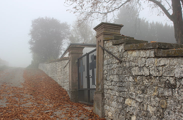 padajícího listí, hřbitov, mlha, podzimní nálada, Architektura, dům, staré