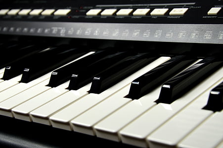 keyboard, piano, keys, music, instrument, piano keys, white