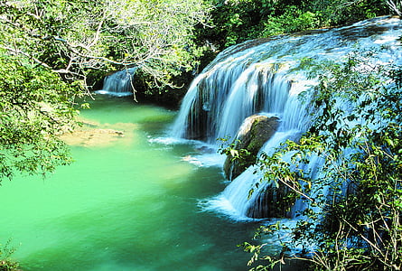 água, Cachoeira, natureza, floresta, Rio, Floresta tropical, fluxo