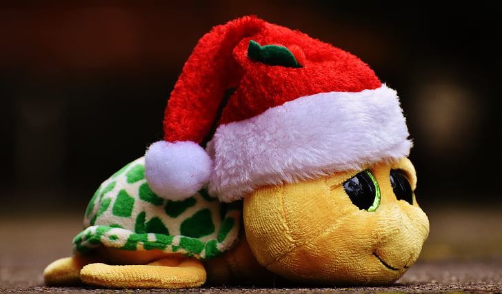 クリスマス, カメ, 動物のぬいぐるみ, 柔らかいおもちゃ, サンタの帽子, おもちゃ, かわいい