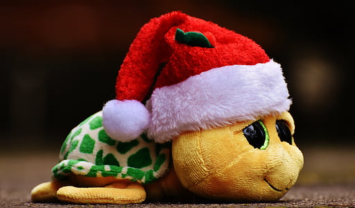 Natal, tartaruga, bicho de pelúcia, brinquedo macio, chapéu de Papai Noel, brinquedos, bonito