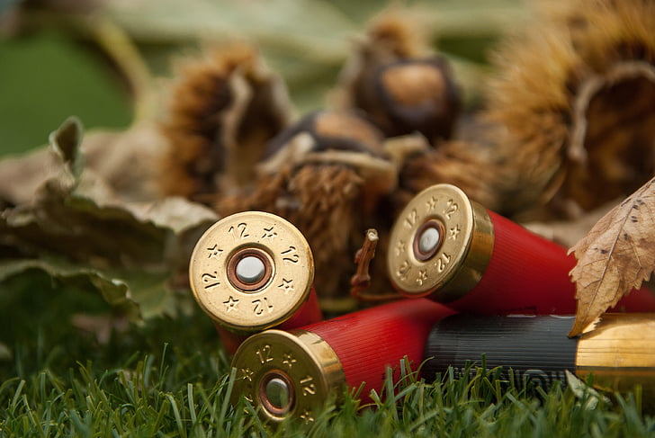 cartridges, weapon, rifle ammunition, grass, outdoors, no people, day
