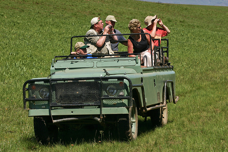 Land rover, Jeep, Safari, vanha, puolustaja, turistit, Kiikarit
