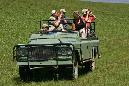 land rover, jeep, safari, old, defender, tourists, binoculars