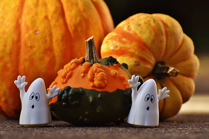 Halloween, spöken, pumpa, Glad halloween, Ghost, hösten, oktober