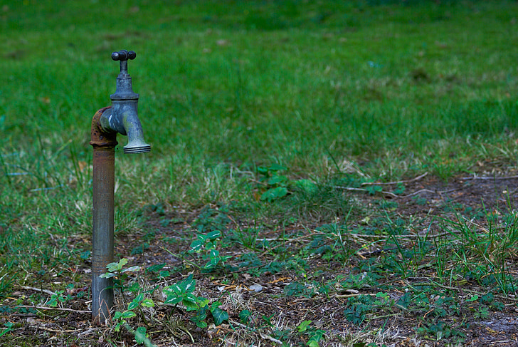 faucet, grass, water, drought, green, lonely, pointless