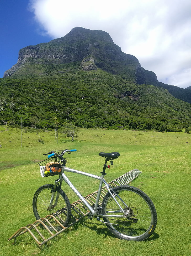 Mountain, cykel, naturskønne