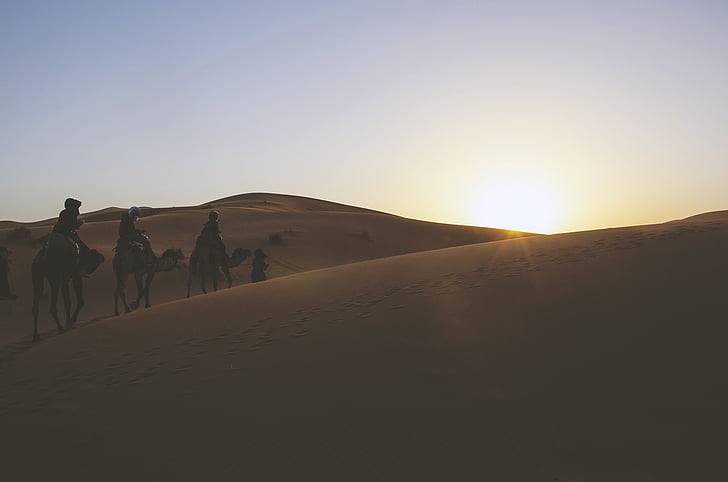 tres, homes, equitació, camell, desert de, sorra, dunes