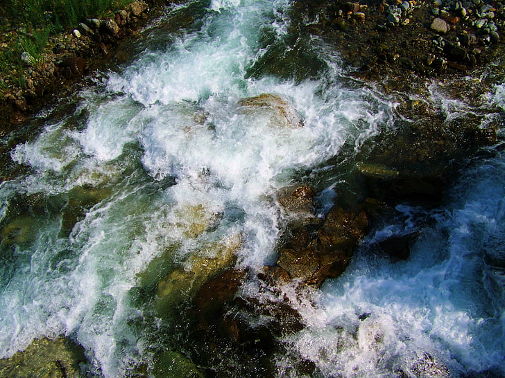 water, rippling stream, foamy waves, nature, river, stream, outdoors