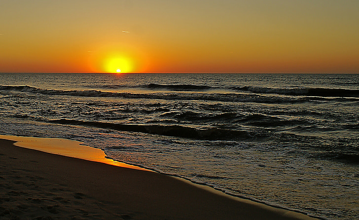 Saulėlydis, vakare, medžių siluetai, ant jūros kranto, paveikslas, nuotaika, Saulė