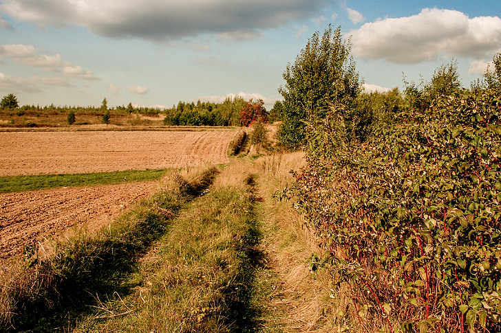 поле, начин, отглеждането на, Селско стопанство