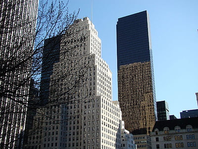 стъкло, небостъргач, сграда, дърво, отражение, структура, град