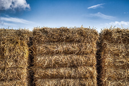 straw, packs of straw, heaven, hdr, bale, hay, agriculture