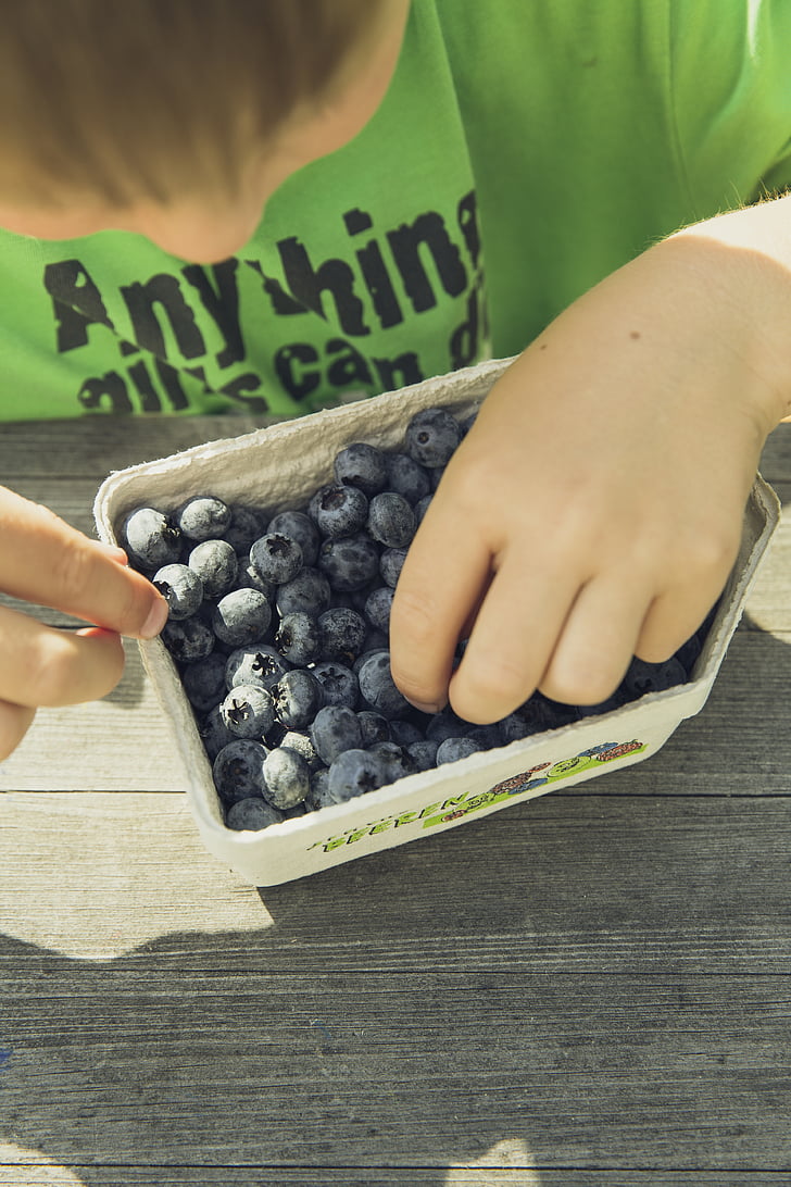 agriculture, blueberry, business, child, cultivation, eat, food