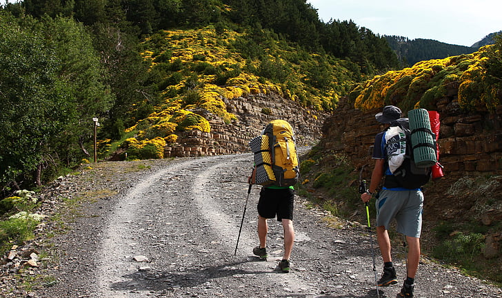 zammı, sırt çantası, Backpackers, yürüyüş, dağlar, Anne-InLaws yastık bitki çiçek, Sarı