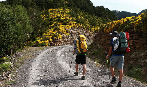matk, seljakott, Backpackers, kõndimine, mäed, ema-inlaws padi taime õitega, kollane